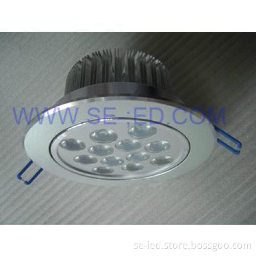15W Circular AC220v LED Ceiling Light